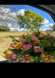 一言不发怎么描述
